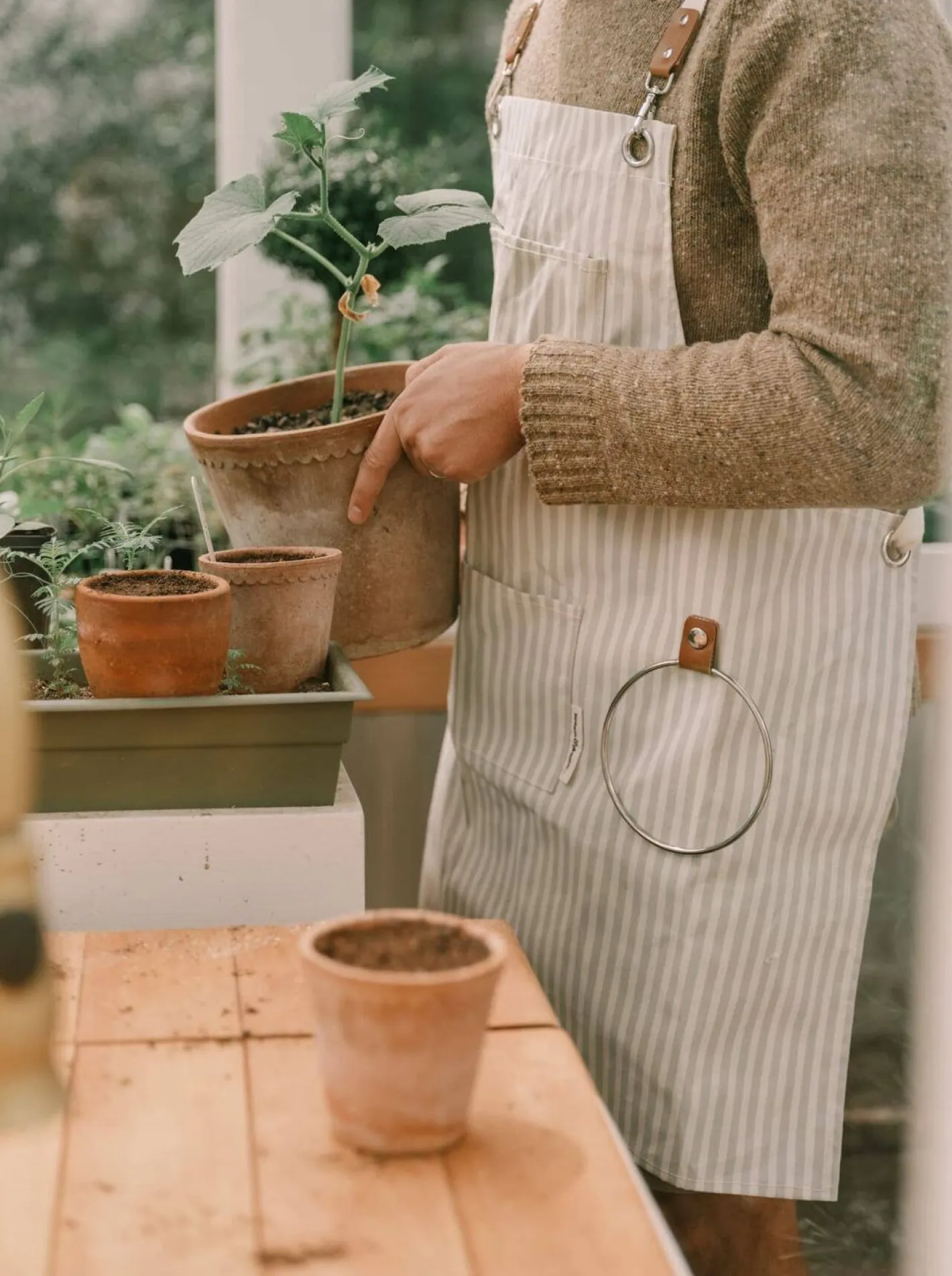 Business & Pleasure Co. The Apron - Lauren'S Sage Stripe