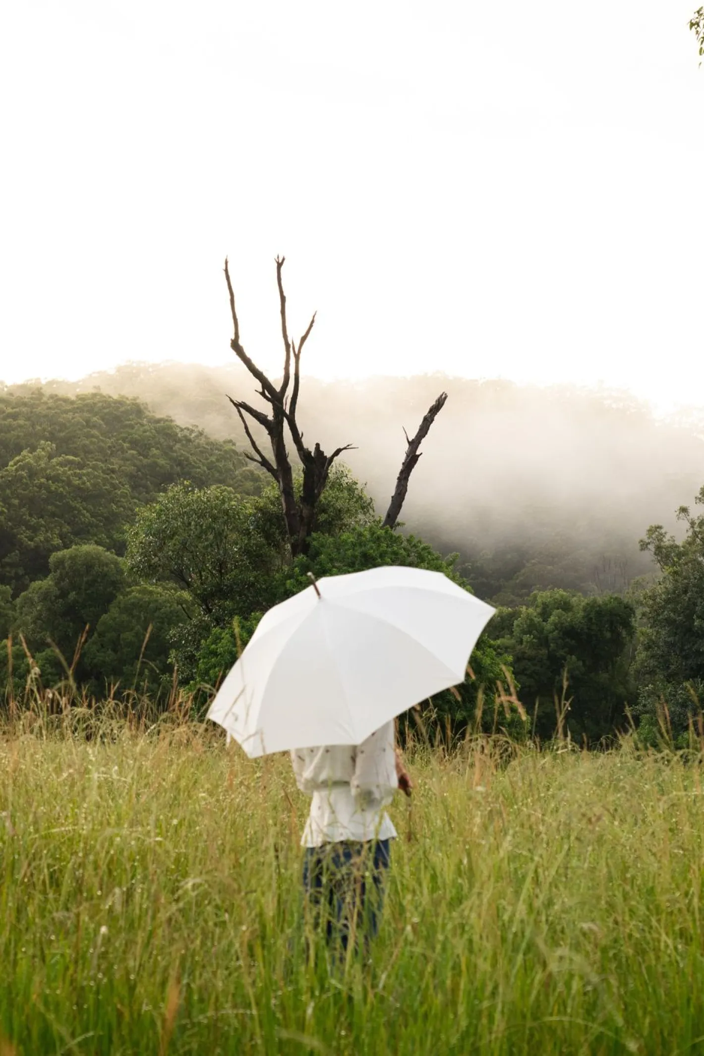 Business & Pleasure Co. The Rain Umbrella - Antique White