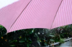 Business & Pleasure Co. The Rain Umbrella - Lauren'S Pink Stripe