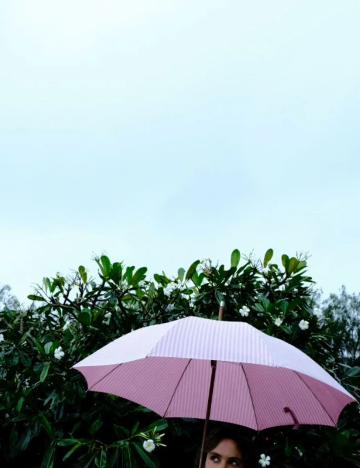 Business & Pleasure Co. The Rain Umbrella - Lauren'S Pink Stripe